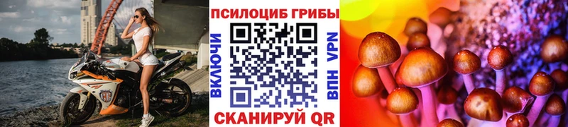 Псилоцибиновые грибы прущие грибы  купить  цена  нарко площадка состав  Можга 